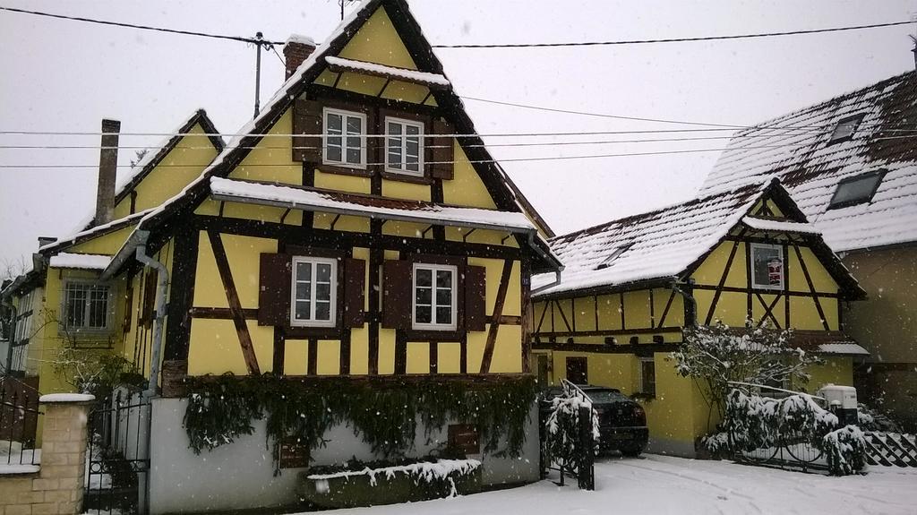 Villa chez salome et fritz Ingolsheim Esterno foto